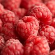 Podzieleni rolnicy nie umieją negocjować cen owoców