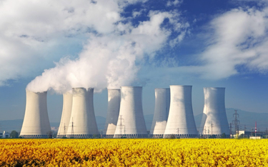 Sołowow: energetyka jądrowa wraca do łask