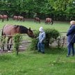 Stadnina koni w Janowie Podlaskim to jedna z największych atrakcji turystycznych na wschodzie kraju