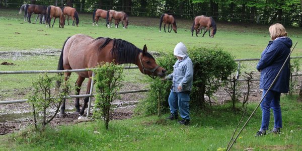 Poland launches tourist checks for seniors and children to boost eastern regions