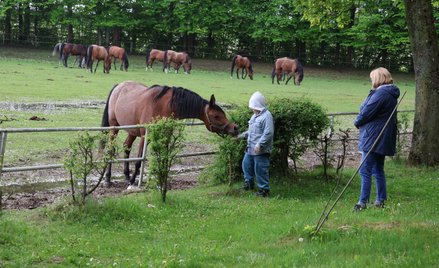 Stadnina koni w Janowie Podlaskim to jedna z największych atrakcji turystycznych na wschodzie kraju