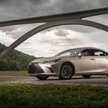 Lexus ES: Menedżerowie do hybryd!