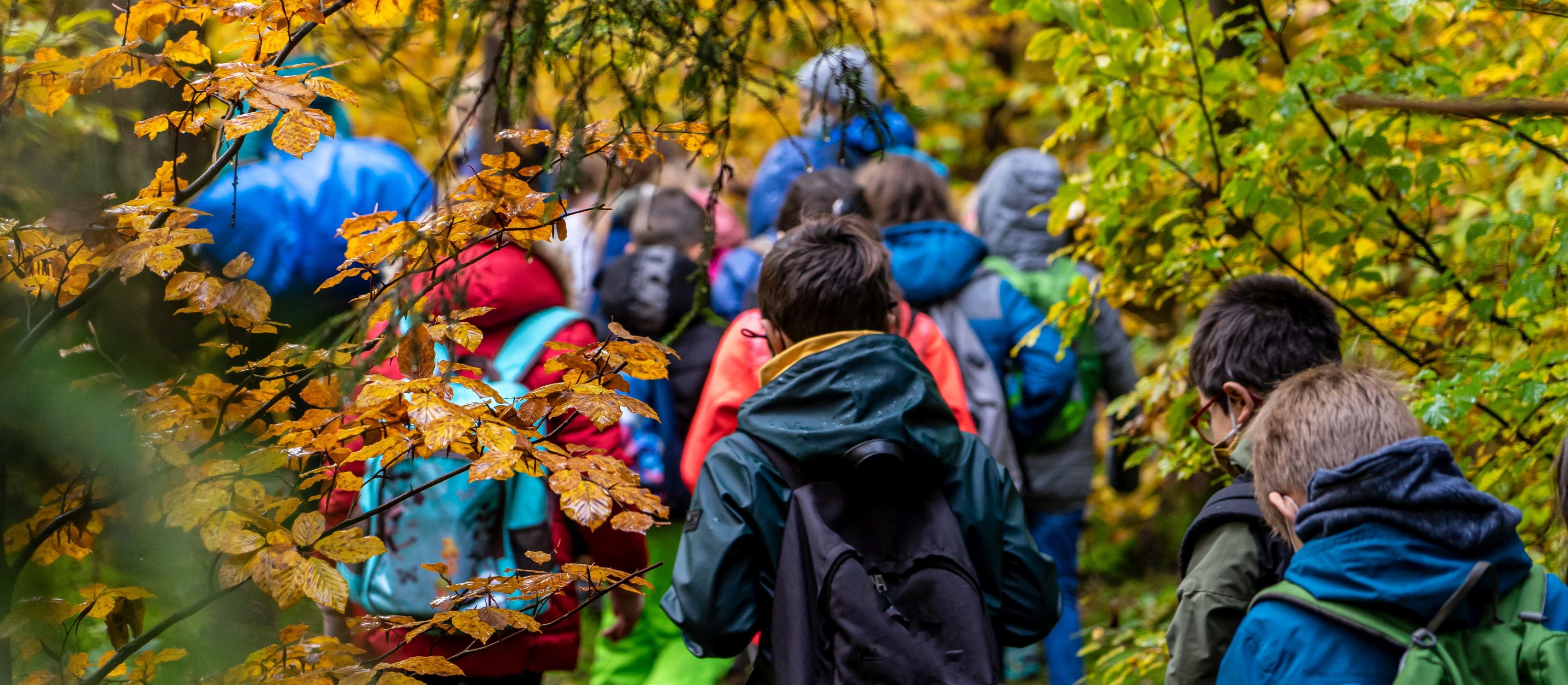 Historia tak, pierniki nie – sprawdziliśmy, które wycieczki wyeliminowały tzw. godziny basiowe