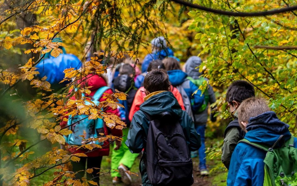Historia tak, pierniki nie – sprawdziliśmy, które wycieczki wyeliminowały tzw. godziny basiowe