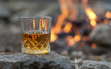 Whisky organiczna już w Polsce. Czym różni się od „zwykłej”?