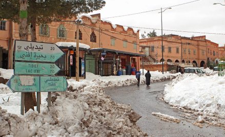 Uprawy w Maroku i Hiszpanii ucierpiały na skutek wyjątkowo ostrej zimy i opadów śniegu
