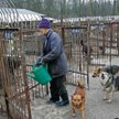 W jaki sposób gmina zapewnia opiekę zwierzętom