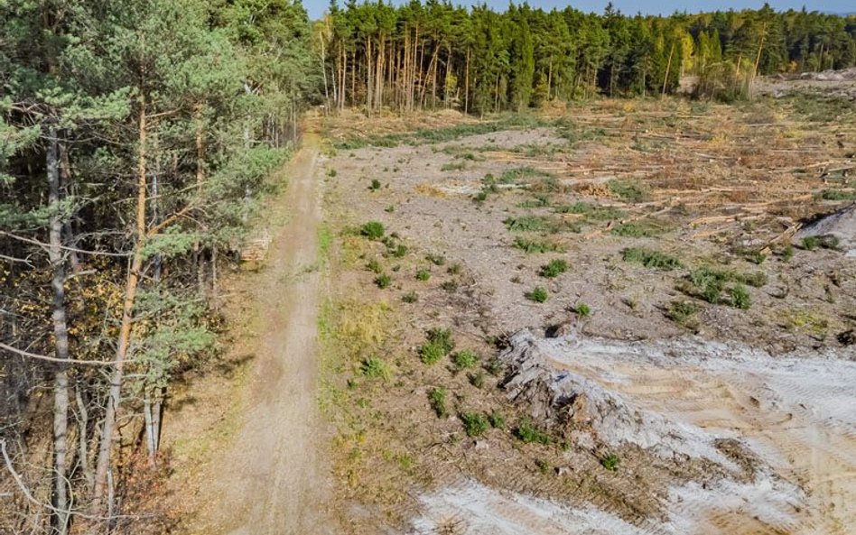 Obecnie szacuje się, że zwierzęta lądowe przemieszczają się w kierunku biegunów w tempie średnio ok.