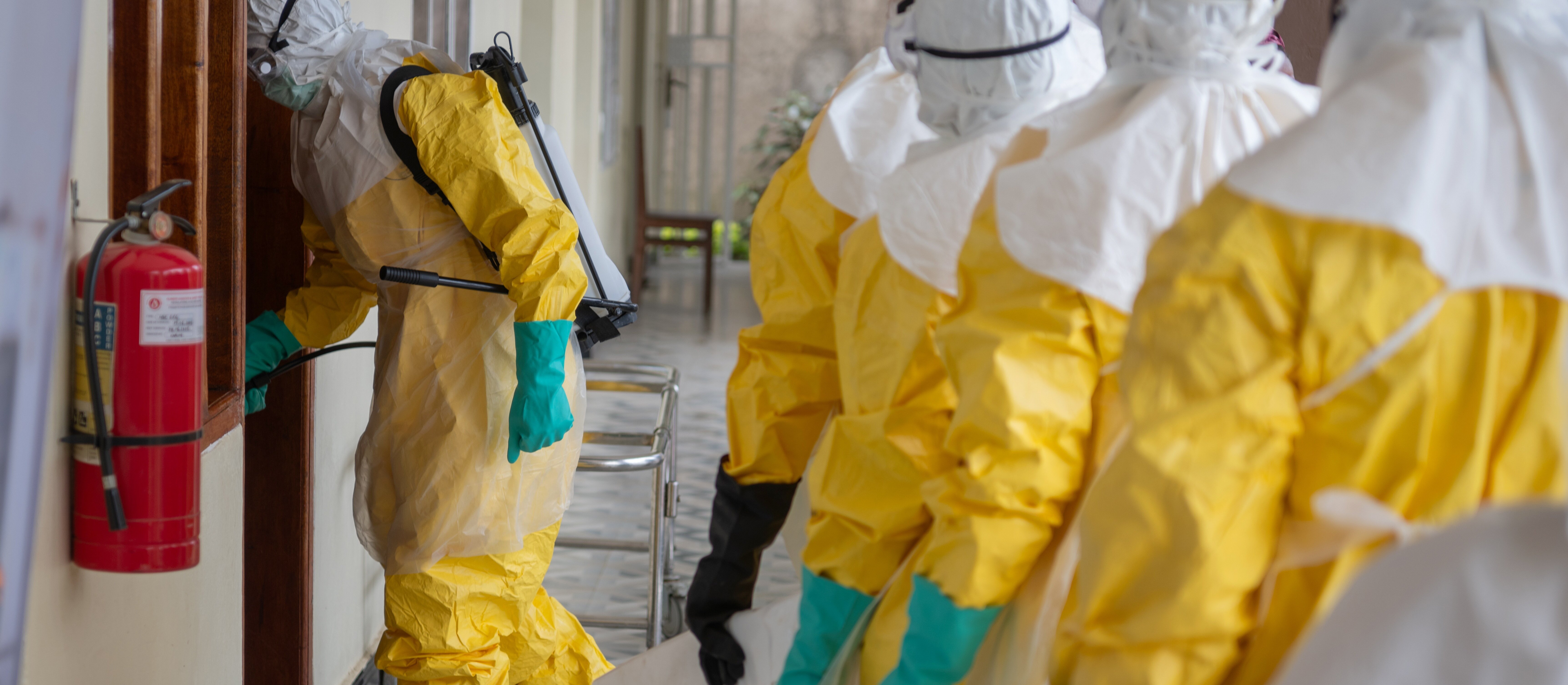 „Nie ma powodów do paniki”. Prof. Krzysztof Pyrć o sytuacji z wirusem Ebola