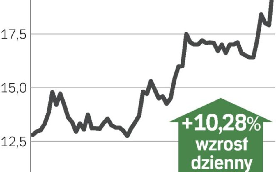 Firma trafi w ręce Canona?