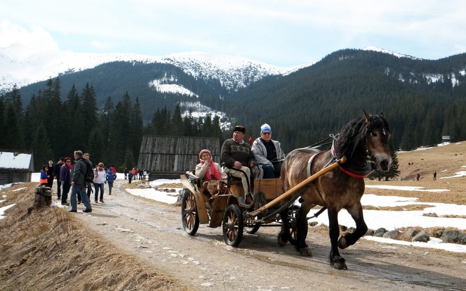 Turyści w Dolinie Chochołowskiej w Poniedziałek Wielkanocny
