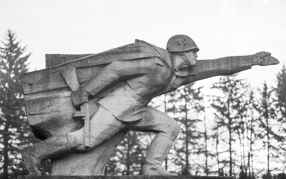 Bez tytułu (Pomnik Bohaterów Armii Czerwonej na Cmentarzu Żołnierzy Radzieckich, Bielsko-Biała), 201