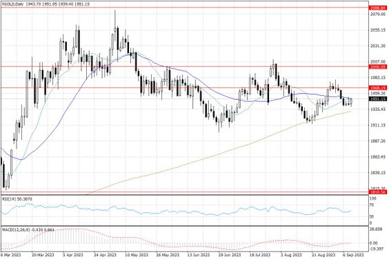 Notowania złota – dane dzienne