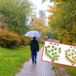 We wtorek chłodno i deszczowo. W środę pogoda w końcu się zmieni