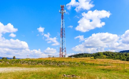 Statystyczny użytkownik telefonii mobilnej w Polsce zużywał w 2024 r. miesięcznie około 26 gigabajtó