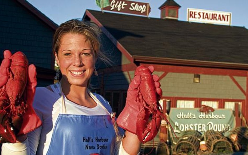 Nowa Szkocja: świeżo złowiony lobster (homar) trafia od razu do nadbrzeżnej restauracji (fot: David 