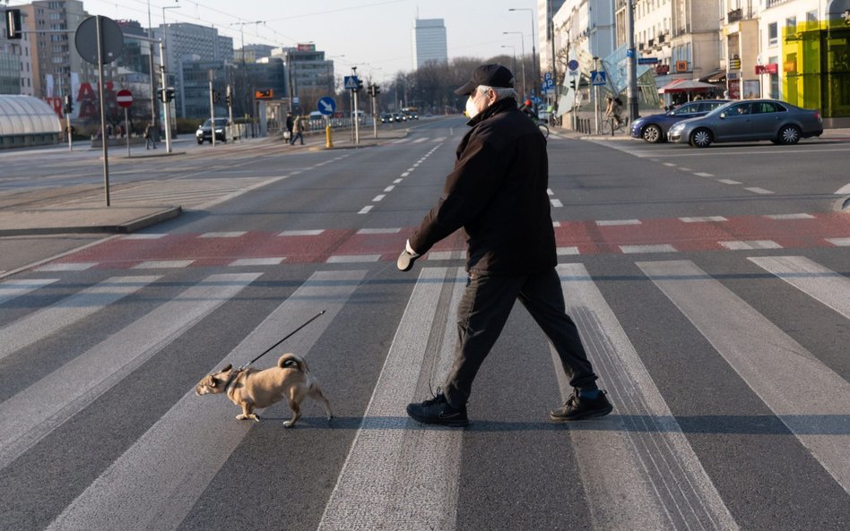 Bufet dla psów w czasach zarazy. Nie trzeba iść do sklepu po karmę