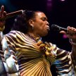 Z miłości do Billie Holiday