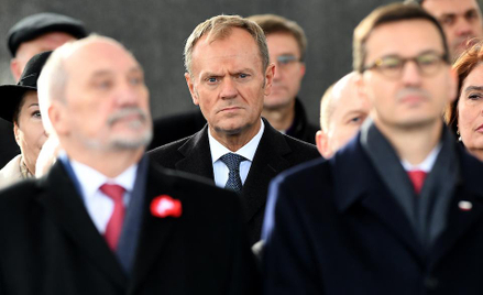 Chrabota: Tusk na białym koniu