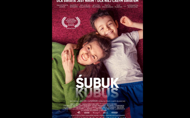 Plakat filmu "Śubuk"