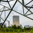 Energetyka: Spółki sceptyczne wobec biomasy