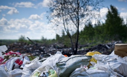 Dziś Światowy Dzień Ziemi. Tak dewastujemy planetę