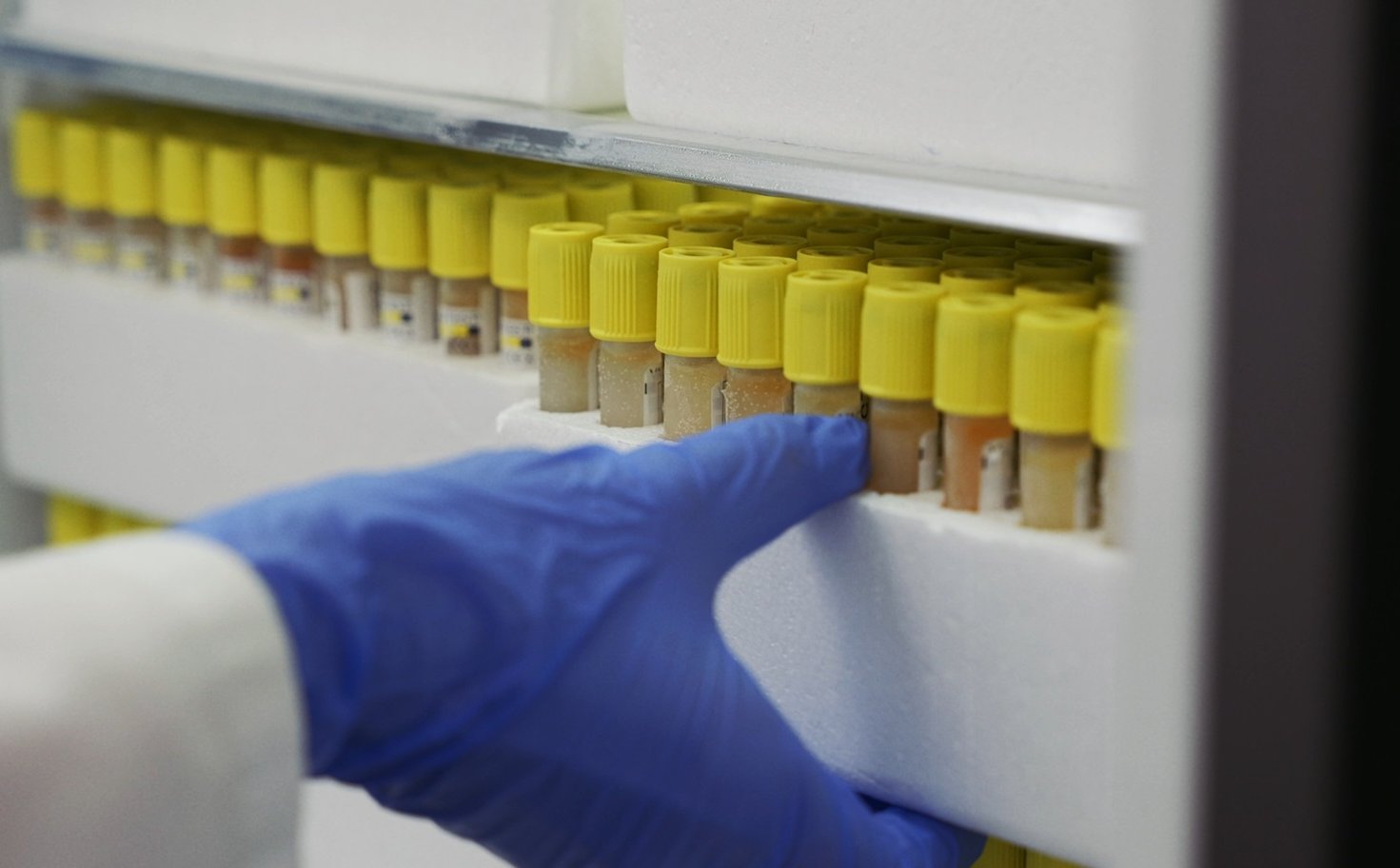 Akcje Urteste na celowniku. Sesja z dwucyfrowym zyskiem