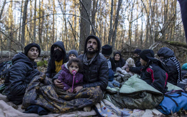 Imigranci w lesie na granicy Polski z Białorusią