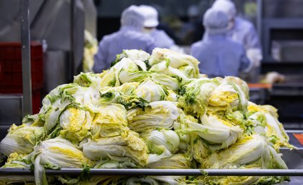 Wytwórnia kimchi w Yeoncheon