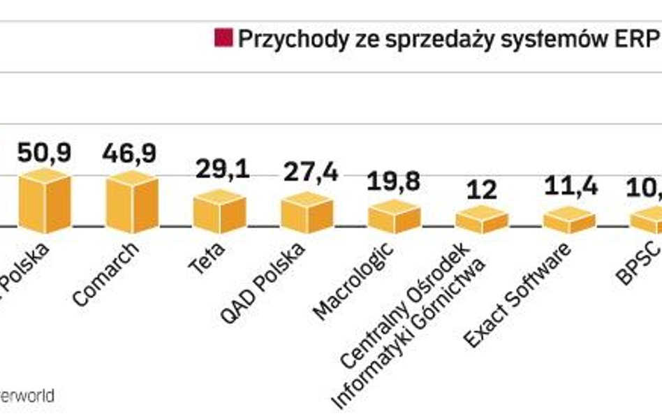 W najlepszej kondycji są firmy, które się skupiły na obsłudze przedsiębiorstw średniej wielkości. Te