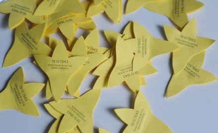 Żonkile nie tylko w stolicy