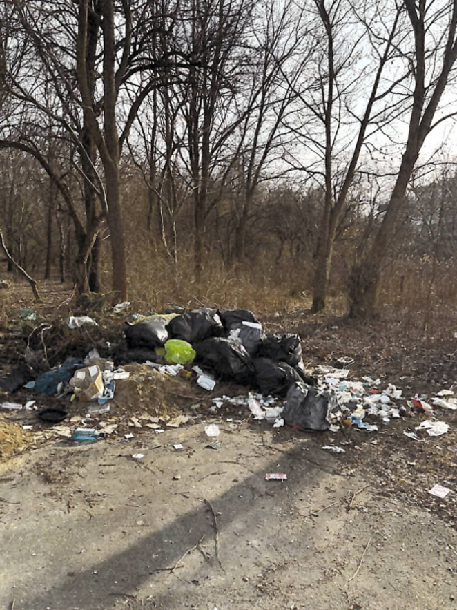 . Część odpadów pochodzi z nielegalnych wywózek, a inne są efektem bytowania osób bezdomnych na tym 