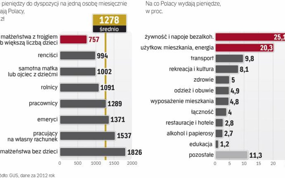 Na co Polacy wydają najwięcej pieniędzy