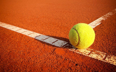 Puchar Davisa: Kamil mądry i solidny
