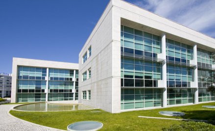 Rynek nieruchomości komercyjnych w rozkwicie