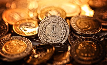 Złoty w opałach. Czy to koniec jego dobrej passy?