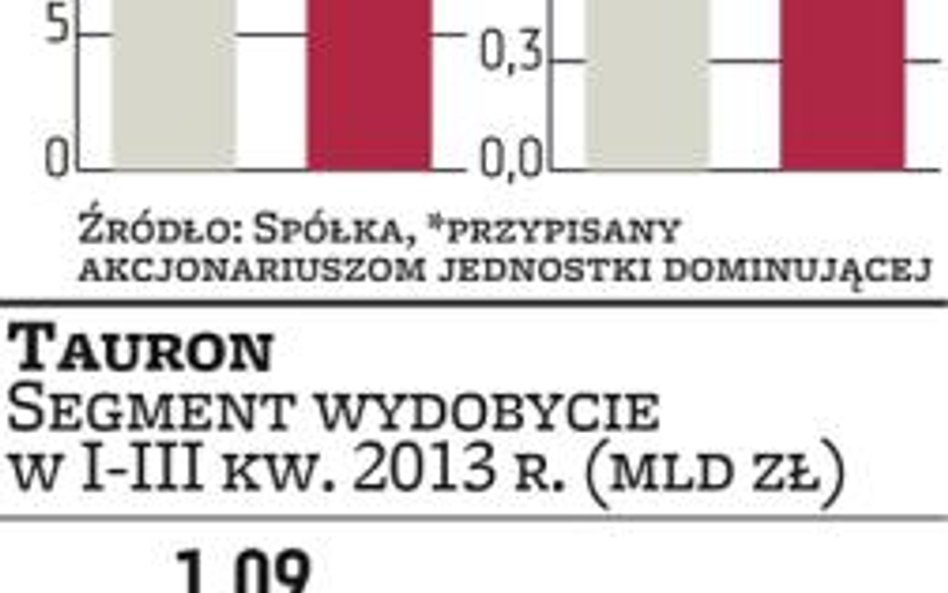 Tauron: Energetyczna spółka jest już jedynym właścicielem PKW