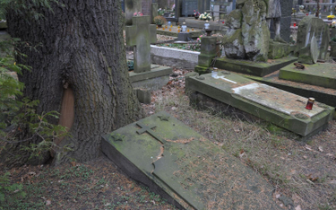 Chrońmy opuszczone groby - konsultacje ws. problemów nekropolii i nowych możliwości pochówku