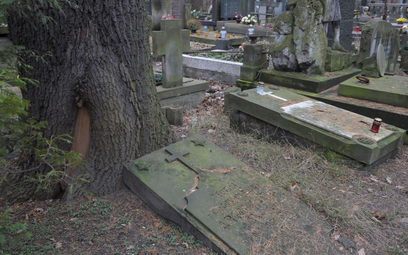 Chrońmy opuszczone groby - konsultacje ws. problemów nekropolii i nowych możliwości pochówku