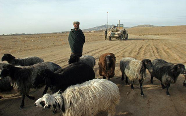 Facebook: Hakerzy urządzili polowanie na afgańskich oficjeli