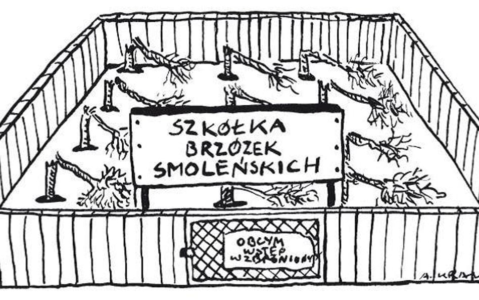 Komentarz rysunkowy. Szkółka brzózek smoleńskich