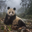 Sichuan, Chiny, 2015 r.