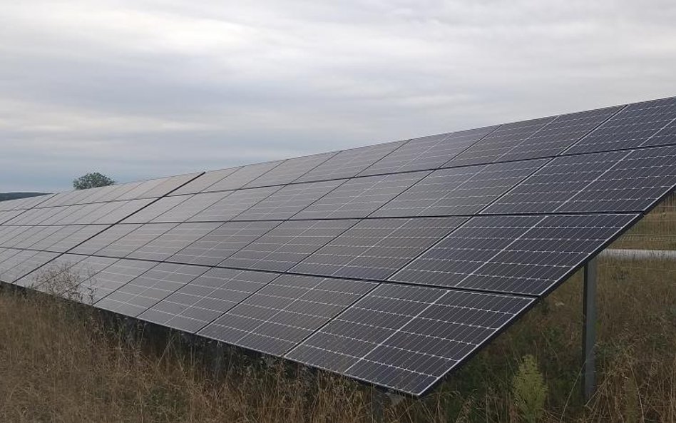 PGE uruchamia farmę PV Bliskowice i pracuje nad kolejnymi projektami