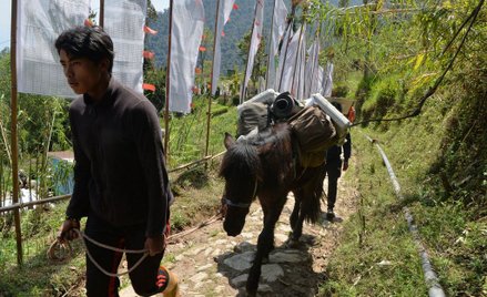 Indie: Kandydat chciał kupować głosy? Wyborów nie będzie