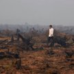 Indonezja: Prezydent musiał płacić, bo dostał prezent