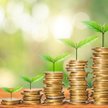 Jak wynika z szóstej edycji badania EY Global Institutional Investor Survey, 86 proc. ankietowanych 
