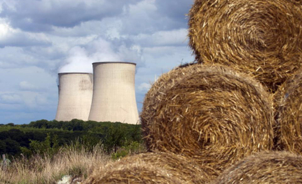 Spółka ZAP ogłosiła przetarg na budowę elektrowni gazowo-parowej