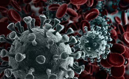 Koronawirus SARS-CoV-2 to już nie jeden patogen, ale jego trzy różniące się szczepy. Dalszego kierun