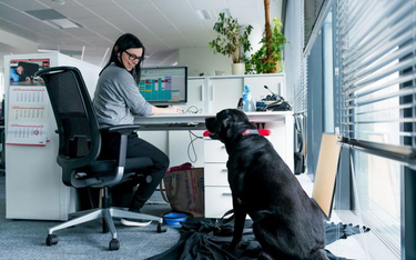 Co piąty pracownik Nestle Purina ma psa, który przeszedł kwalifikację zoopsychologa i może pracować 