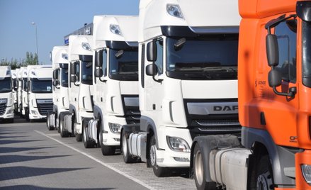 Przewoźnicy podwoili tempo rozbudowy flot